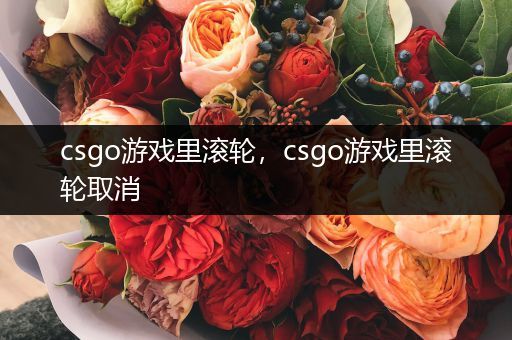 csgo游戏里滚轮，csgo游戏里滚轮取消