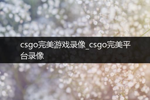 csgo完美游戏录像_csgo完美平台录像