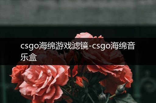 csgo海绵游戏滤镜-csgo海绵音乐盒