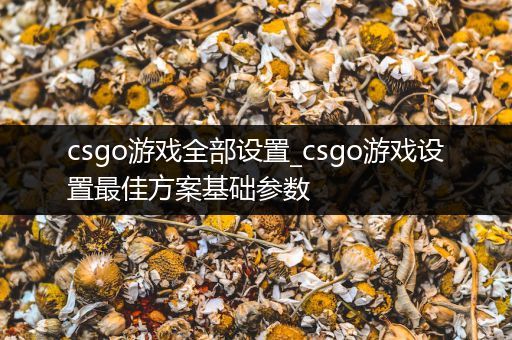 csgo游戏全部设置_csgo游戏设置最佳方案基础参数