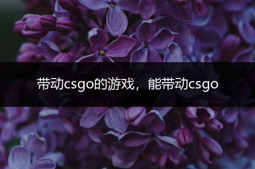 带动csgo的游戏，能带动csgo