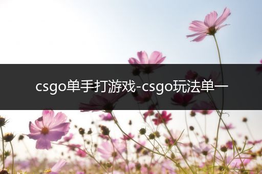 csgo单手打游戏-csgo玩法单一