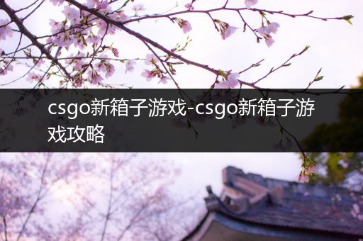 csgo新箱子游戏-csgo新箱子游戏攻略