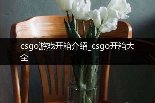 csgo游戏开箱介绍_csgo开箱大全