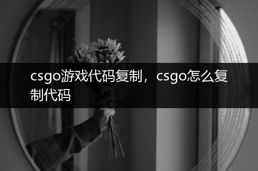 csgo游戏代码复制，csgo怎么复制代码