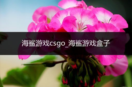 海鲨游戏csgo_海鲨游戏盒子