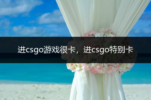 进csgo游戏很卡，进csgo特别卡