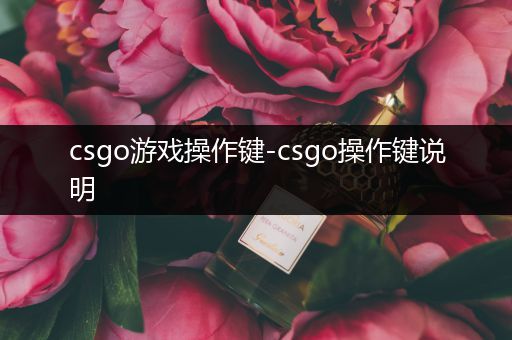 csgo游戏操作键-csgo操作键说明