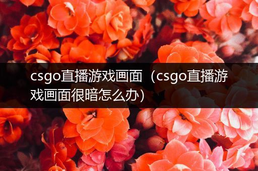 csgo直播游戏画面（csgo直播游戏画面很暗怎么办）