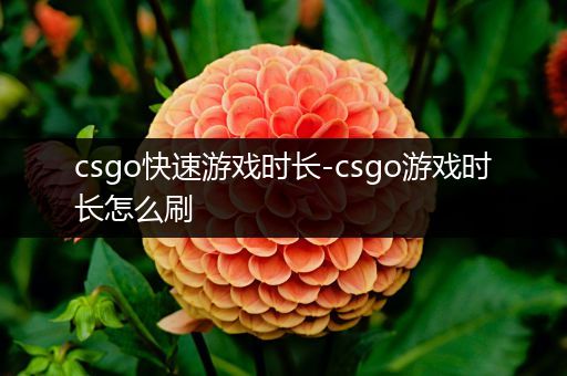 csgo快速游戏时长-csgo游戏时长怎么刷