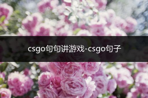 csgo句句讲游戏-csgo句子