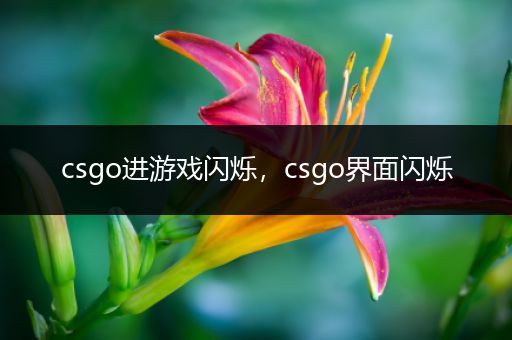 csgo进游戏闪烁，csgo界面闪烁