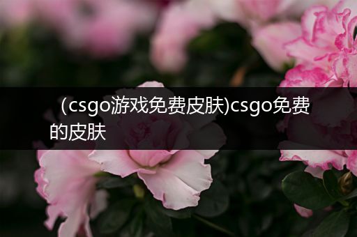 （csgo游戏免费皮肤)csgo免费的皮肤