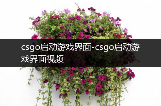 csgo启动游戏界面-csgo启动游戏界面视频