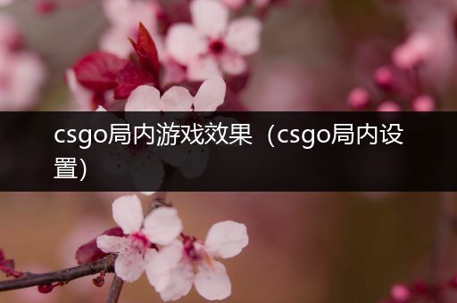 csgo局内游戏效果（csgo局内设置）