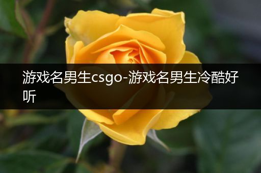 游戏名男生csgo-游戏名男生冷酷好听