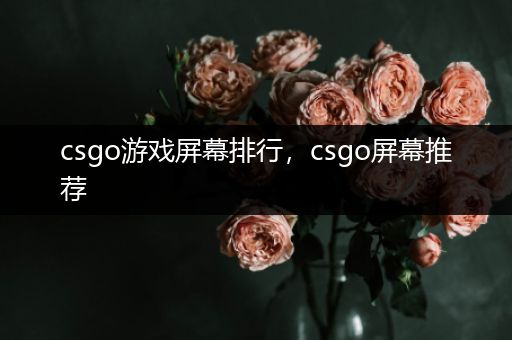 csgo游戏屏幕排行，csgo屏幕推荐