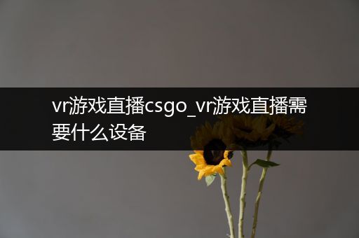 vr游戏直播csgo_vr游戏直播需要什么设备