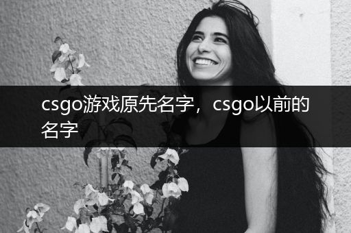 csgo游戏原先名字，csgo以前的名字