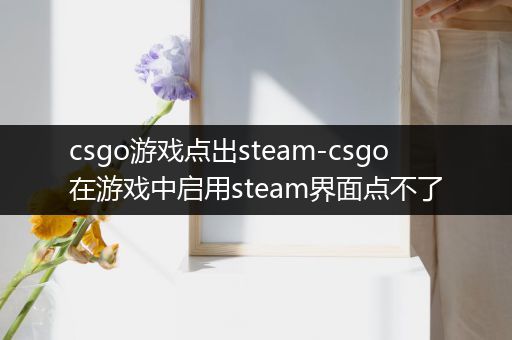 csgo游戏点出steam-csgo在游戏中启用steam界面点不了