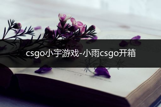 csgo小宇游戏-小雨csgo开箱