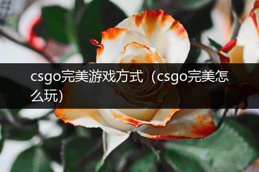 csgo完美游戏方式（csgo完美怎么玩）