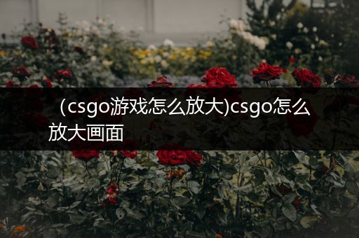 （csgo游戏怎么放大)csgo怎么放大画面