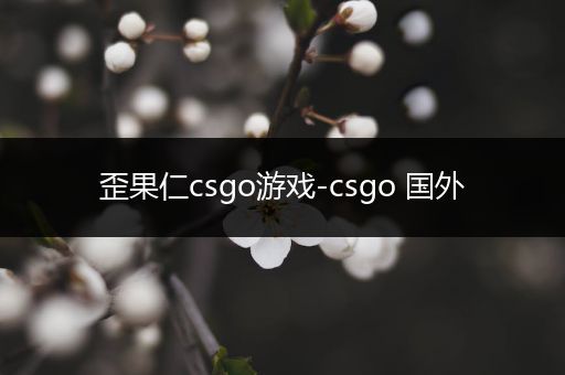 歪果仁csgo游戏-csgo 国外