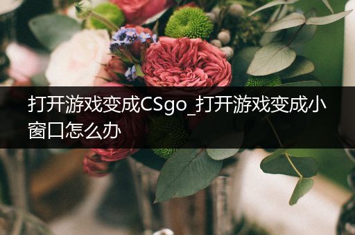 打开游戏变成CSgo_打开游戏变成小窗口怎么办