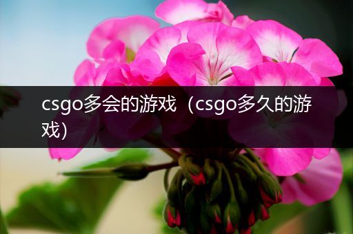 csgo多会的游戏（csgo多久的游戏）