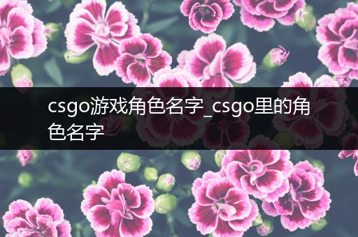 csgo游戏角色名字_csgo里的角色名字