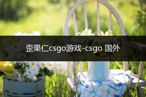 歪果仁csgo游戏-csgo 国外