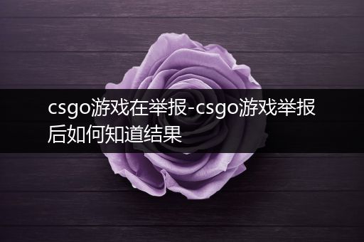 csgo游戏在举报-csgo游戏举报后如何知道结果