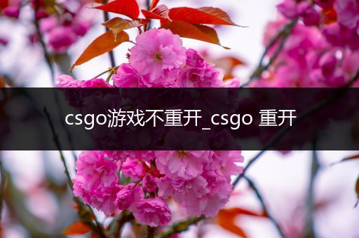 csgo游戏不重开_csgo 重开