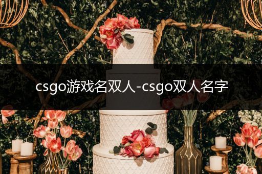 csgo游戏名双人-csgo双人名字