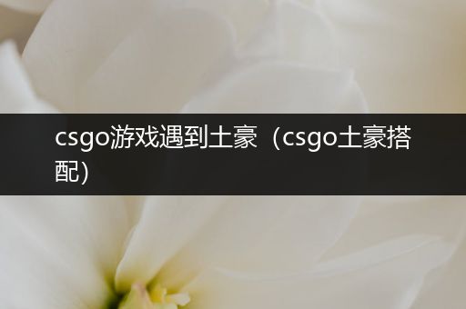 csgo游戏遇到土豪（csgo土豪搭配）