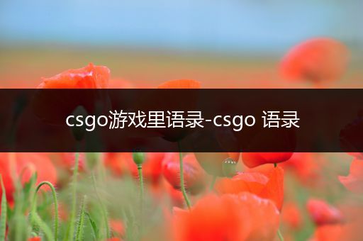 csgo游戏里语录-csgo 语录