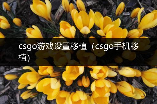 csgo游戏设置移植（csgo手机移植）