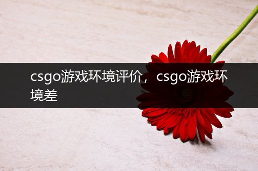 csgo游戏环境评价，csgo游戏环境差