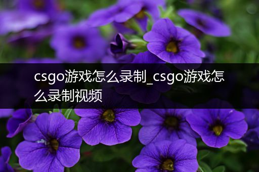 csgo游戏怎么录制_csgo游戏怎么录制视频