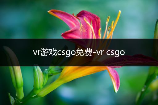 vr游戏csgo免费-vr csgo