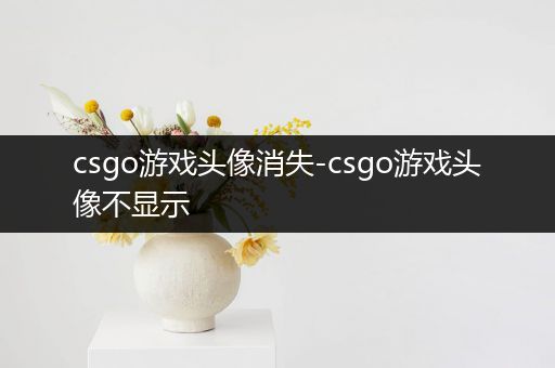 csgo游戏头像消失-csgo游戏头像不显示