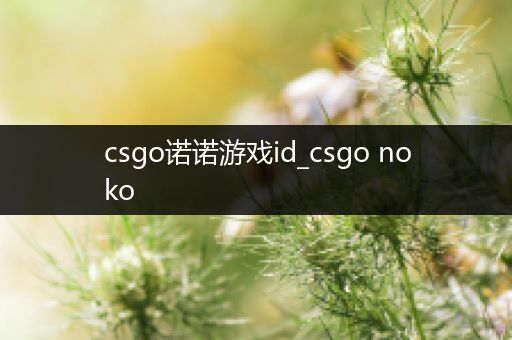 csgo诺诺游戏id_csgo noko