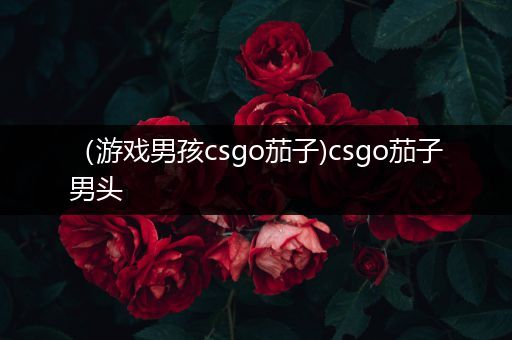 （游戏男孩csgo茄子)csgo茄子男头