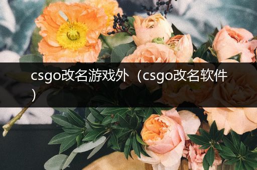 csgo改名游戏外（csgo改名软件）