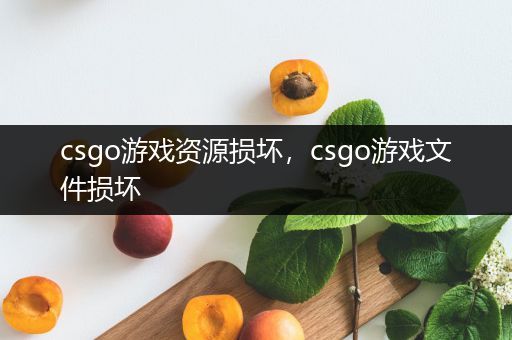 csgo游戏资源损坏，csgo游戏文件损坏