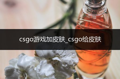 csgo游戏加皮肤_csgo给皮肤