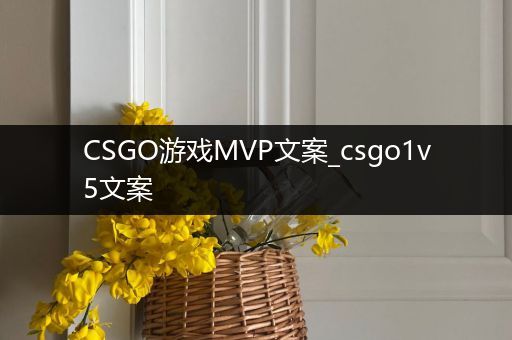 CSGO游戏MVP文案_csgo1v5文案