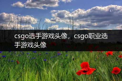 csgo选手游戏头像，csgo职业选手游戏头像