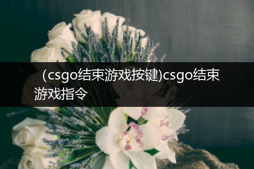 （csgo结束游戏按键)csgo结束游戏指令